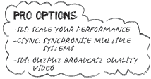 PRO OPTIONS