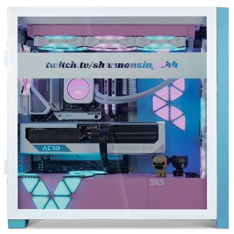 side shot of shannon singhhh gaming pc