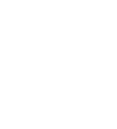 scan it