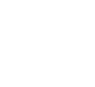 Whitebox Testing