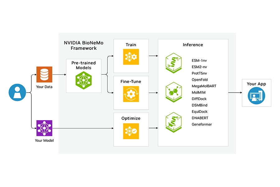 NVIDIA BioNeMo generative AI framework for biomolecular drug discovery and protein structure prediction
