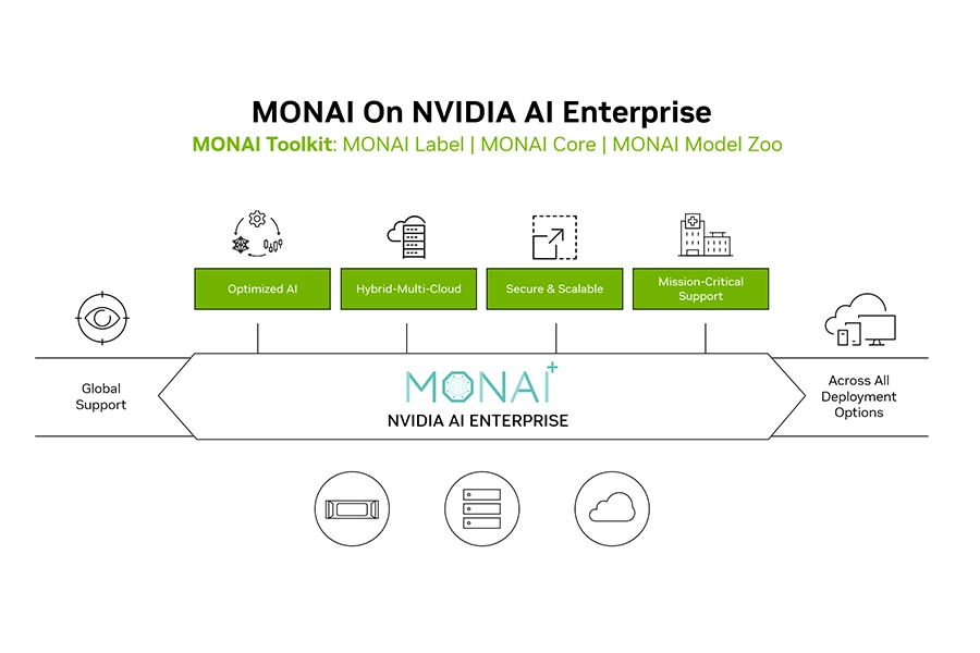 NVIDIA MONAI Toolkit enterprise medical imaging AI development environment with 3D segmentation