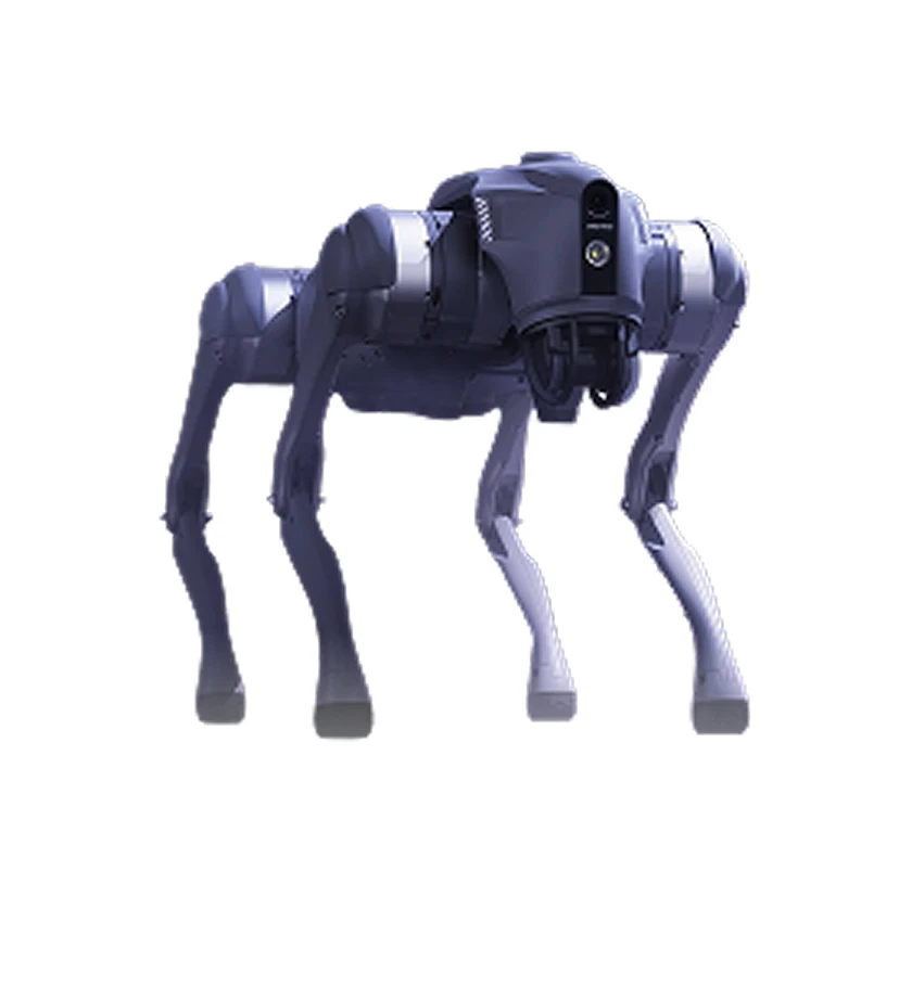 Unitree Quadruped Robot