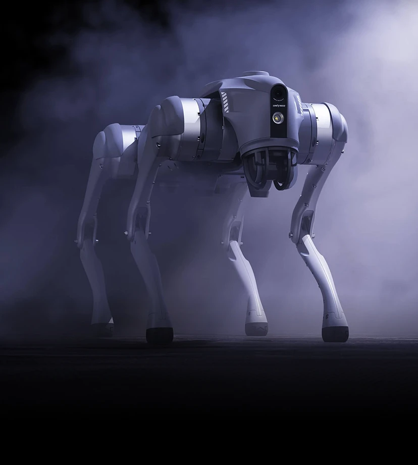 Unitree Quadruped Robot