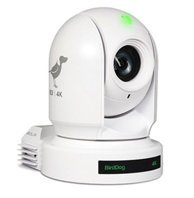 bird dog ptz camera