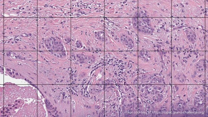 Digital pathology microscope