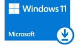 Electronic Software Download Windows 11 option