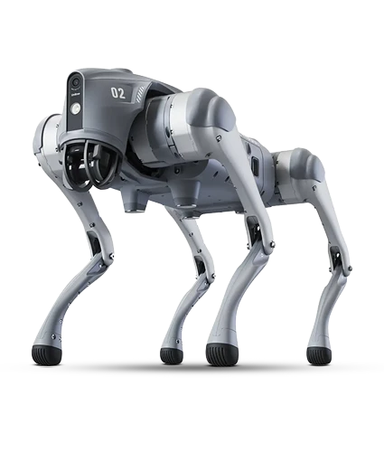 Quadruped Robotics