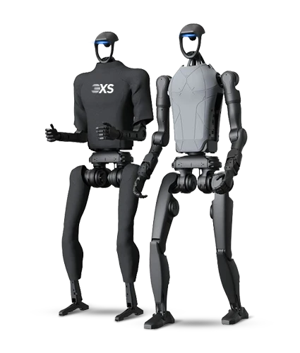 Humanoid Robotics