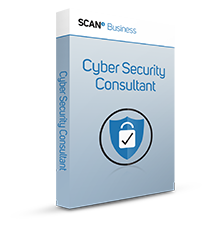 Cyber Security Consultant