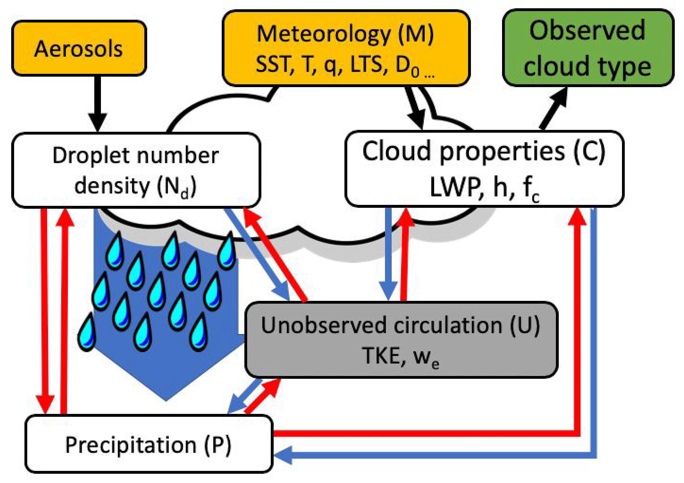 Marine Boundary Layer Clouds
