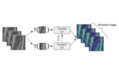 DINO (Distillation with No Labels) architecture diagram showing student and teacher networks with cross-entropy loss