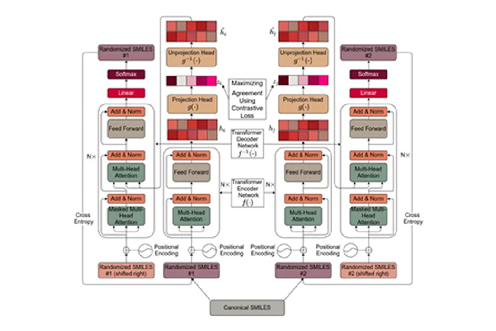 FragNet visualization showing hybrid transformer-autoencoder architecture for molecular embedding and contrastive learning