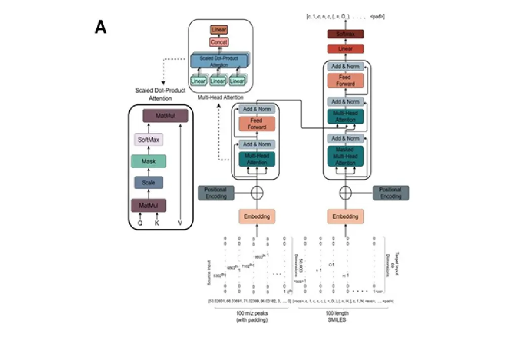 MassGenie visualization showing transformer-based neural network architecture for predicting molecular structures from mass spectra