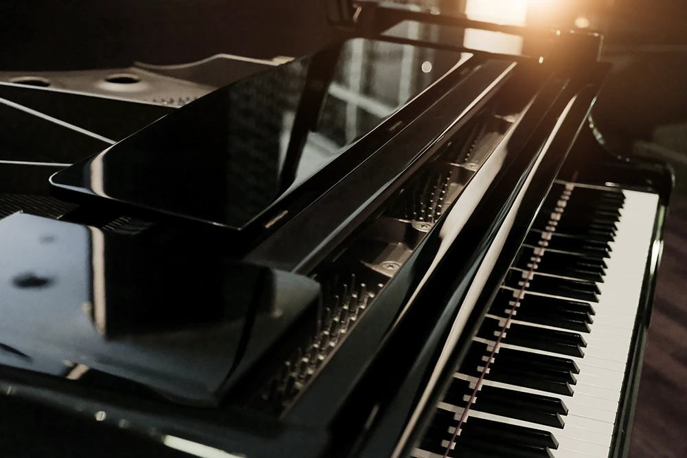 Pianos & Keyboards