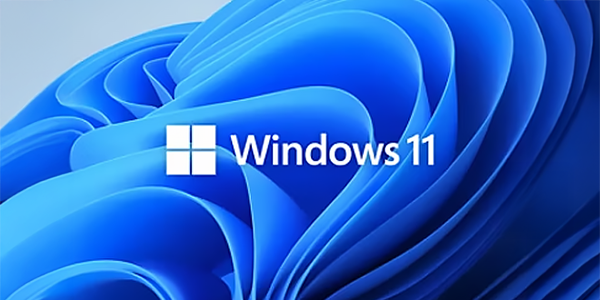 Windows 11 operating system