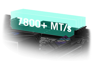 DDR5 Support