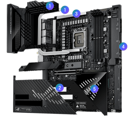 Maximus extreme hotsell