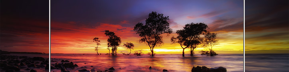Sunset landscape with trees in the distance.