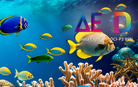 Coral reef with tropical fish and colour certifications