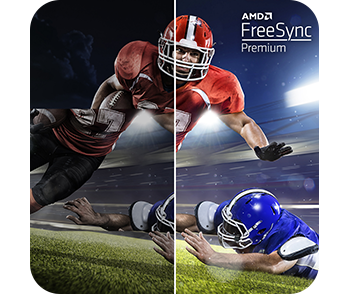 AMD FreeSync Premium