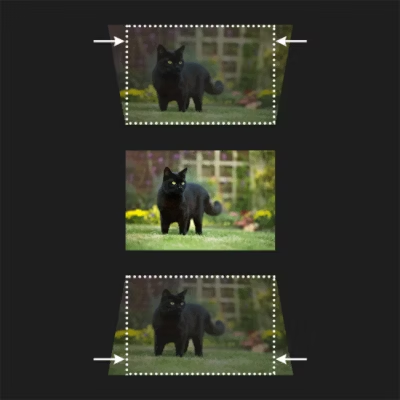 3x cats with edges skewed with dotted lines around the edges to highlight vertical keystone correction.