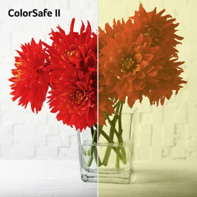 Red flowers in glass jar, one half colourful with ColorSafe II text overlaid, other half with sepia effect.
