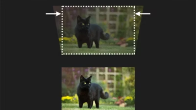 Cat image correctly projected via Automatic Vertical Keystone Correction against cat image without auto correction.