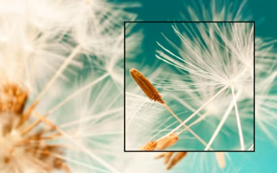 FHD Resolution