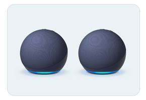 Multiple echo dots