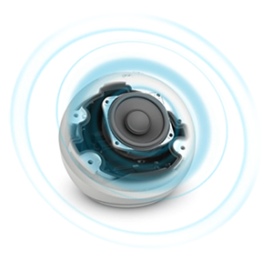 Speaker