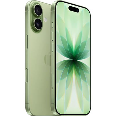 Apple iPhone 17 Sage 256GB 5G Wi-Fi 7 iOS 26 Smartphone LN166225