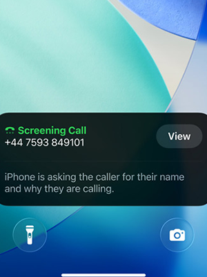 Call Screening