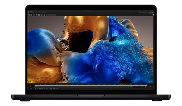 MacBook Pro with Picture Viewer software on-screen.