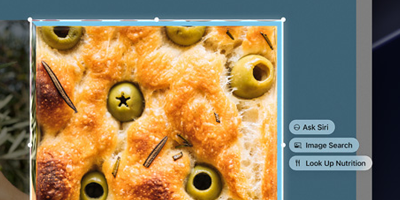 Visual intelligence analysing image on-screen.