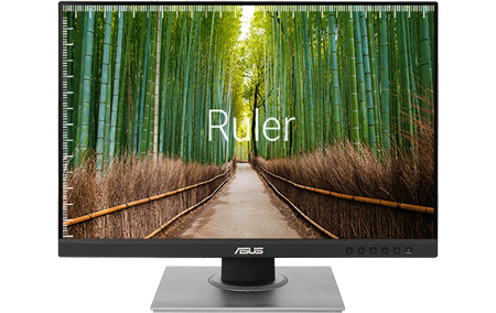 Ruler Grid