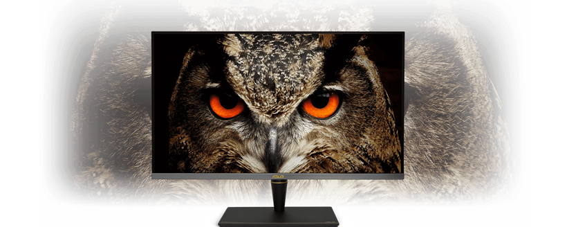 HDR-10 on ASUS PA32UCX-PK display with image of eurasion eagle owl with vibrant orange eyes