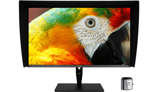 ASUS ProArt PA32UCX-PK with background image of macaw parrot