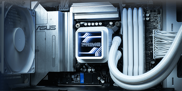 CPU Socket Support