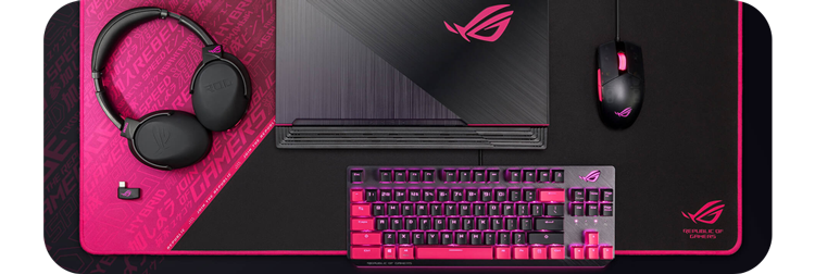 ASUS Electro Punk