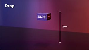 Drop Test
