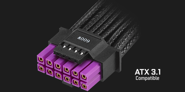 Closeup of ATX 3.0/3.1 cable connector.