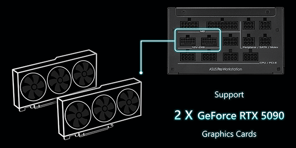 Front view of ASUS Pro WS Platinum PSU internal power connectors.