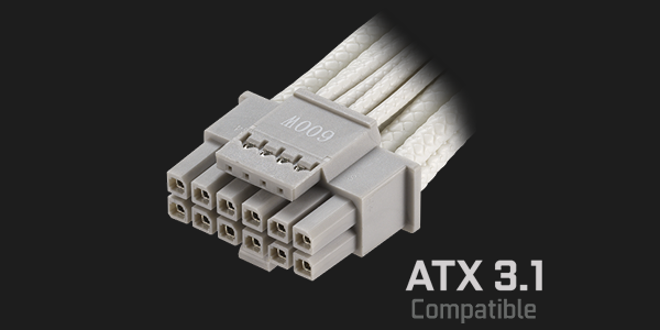 16-pin ATX 3.1 cable.