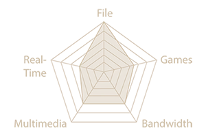 Radar chart displaying prioritised network traffic.