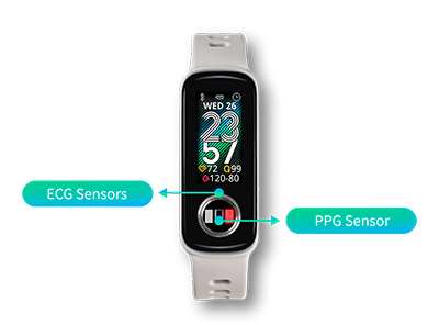 ECG Sensors
