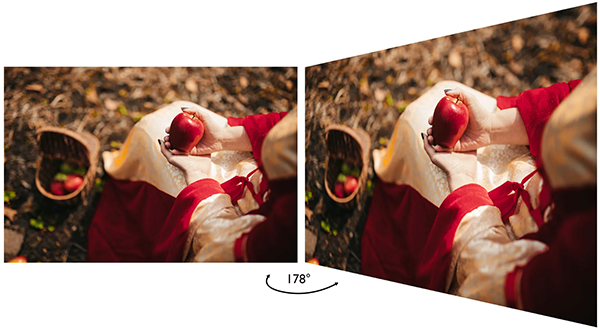178 degree viewing angle