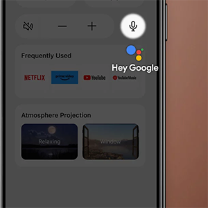 Google Assistant, Now in the App