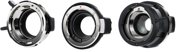 Interchangeable Lens Mounts
