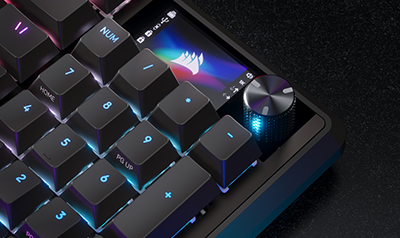 320 x 170 IPS Display